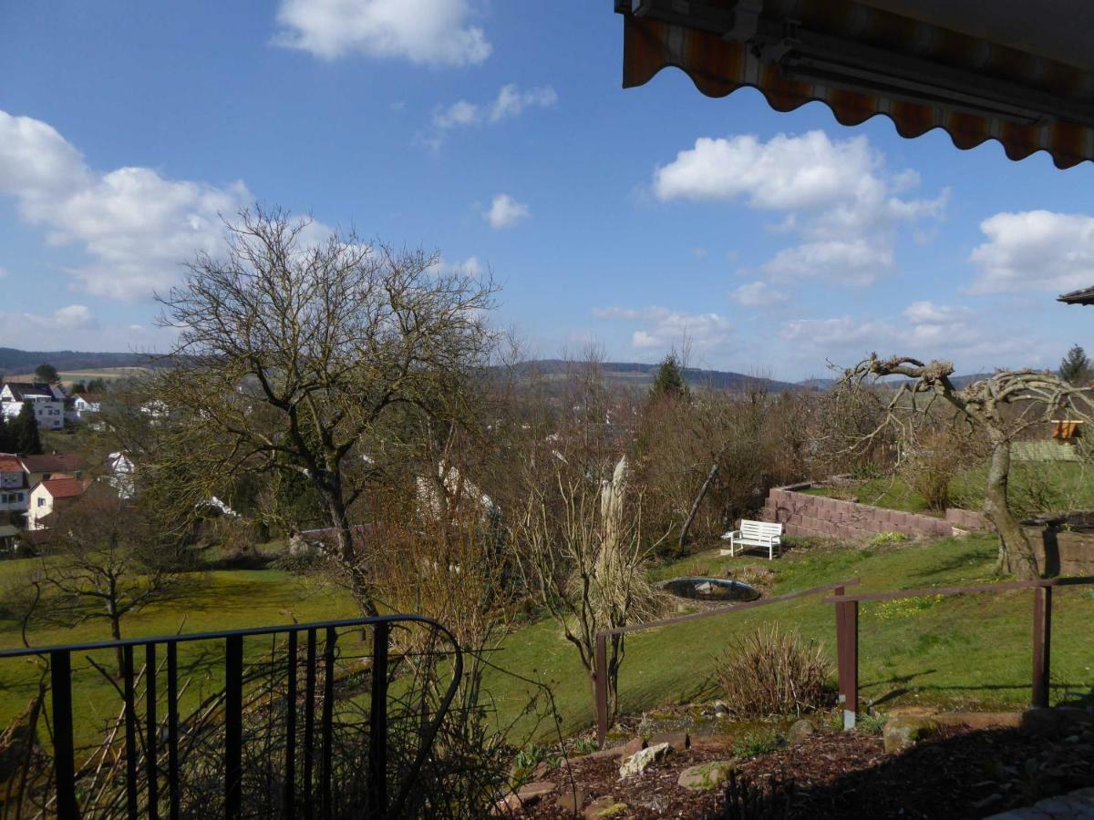 Dora 2 Apartment Michelstadt